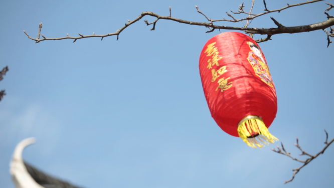 雁鹅界树枝红灯笼特写素材
