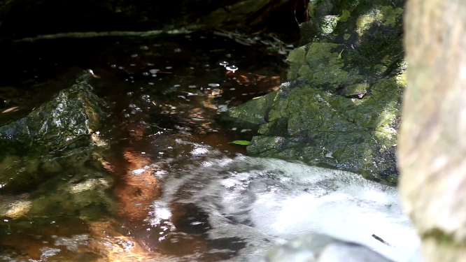 河流溪水石块