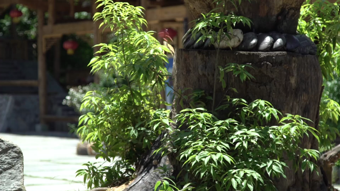 枫香瑶寨木雕空镜