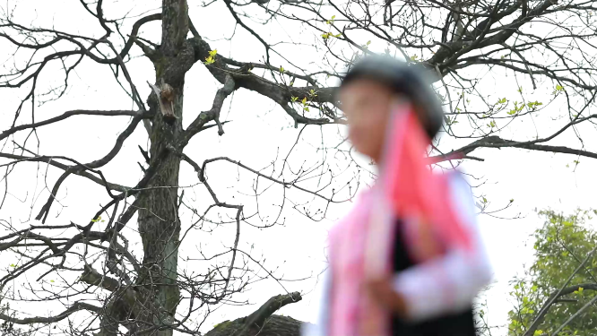 大花瑶快闪活动儿童举旗唱歌