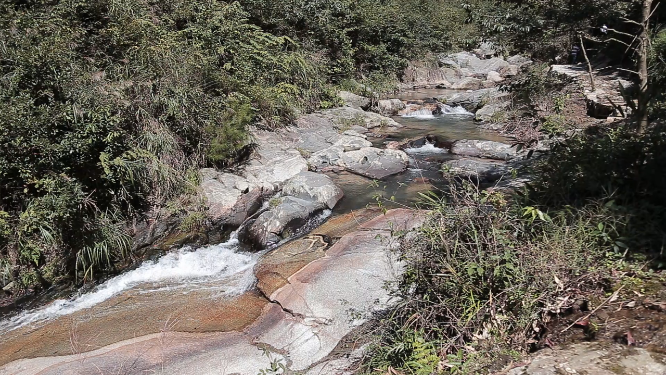 山背开园小河流水