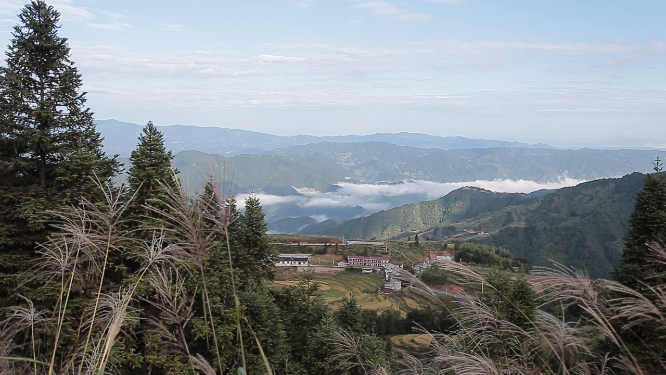 山背开园山地