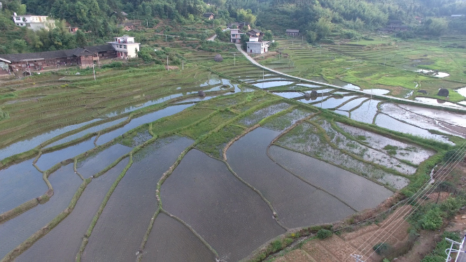 山背山谷田野航拍素材