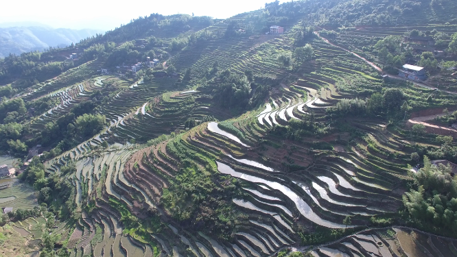 山背山谷田野航拍素材