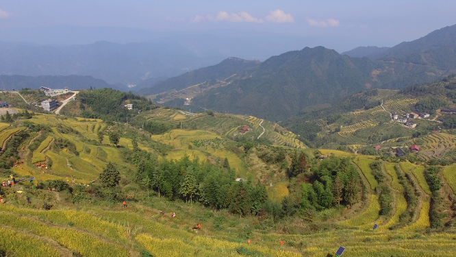 花瑶雪峰山稻田航拍