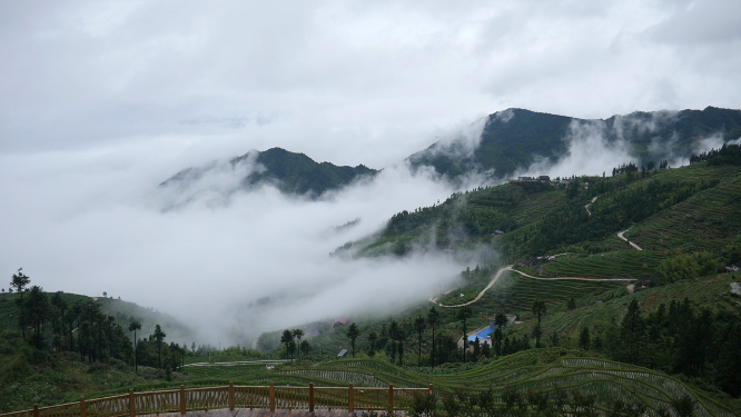 云瑶山间浓密厚重云雾素材