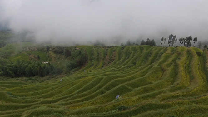 花瑶云雾梯田航拍素材