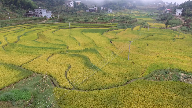 花瑶雪峰山稻田航拍