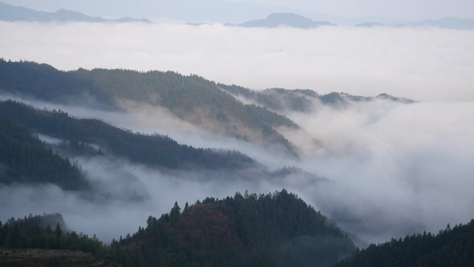 云瑶山间浓密厚重云雾素材