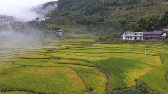 花瑶云雾梯田航拍素材