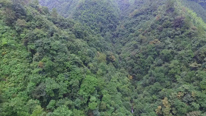 春季穿岩山绿林航拍