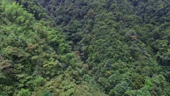 春季穿岩山绿林航拍
