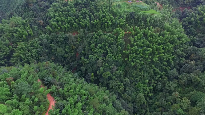 春季穿岩山绿林航拍