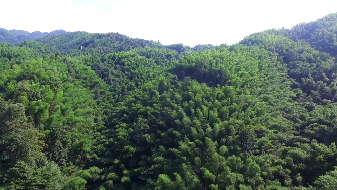 春季穿岩山绿林航拍