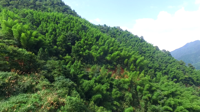 春季穿岩山绿林航拍