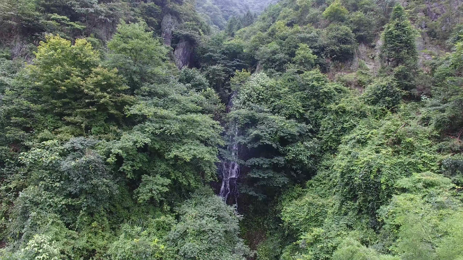 春季穿岩山绿林航拍