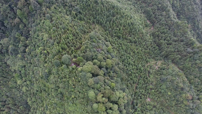 春季穿岩山绿林航拍
