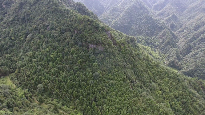 春季穿岩山绿林航拍