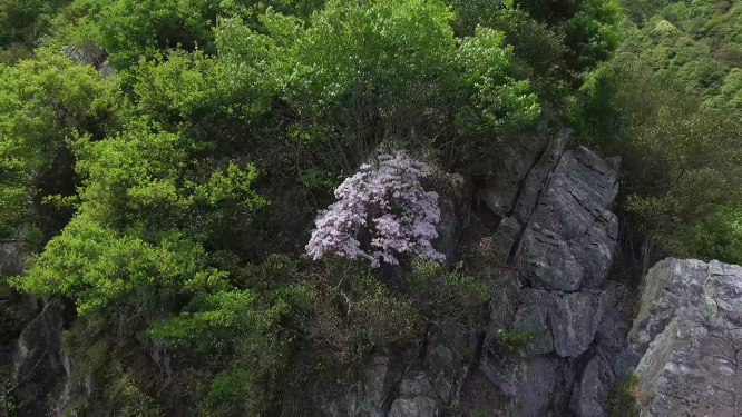 穿岩山山谷绿林航拍