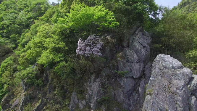 穿岩山山谷绿林航拍