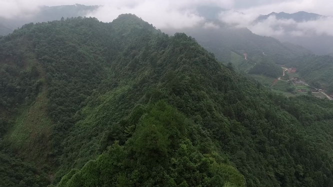 穿岩山朦胧云雾绿林