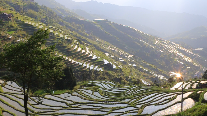 花瑶雪峰山山坡航拍梯田风光