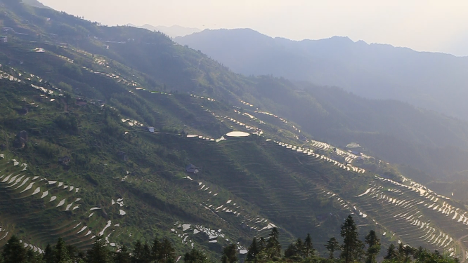 花瑶雪峰山山坡航拍梯田风光