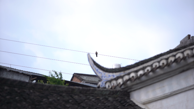 南航阳雀坡建筑特写空镜