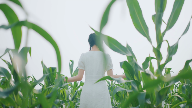 女生写意农田中行走