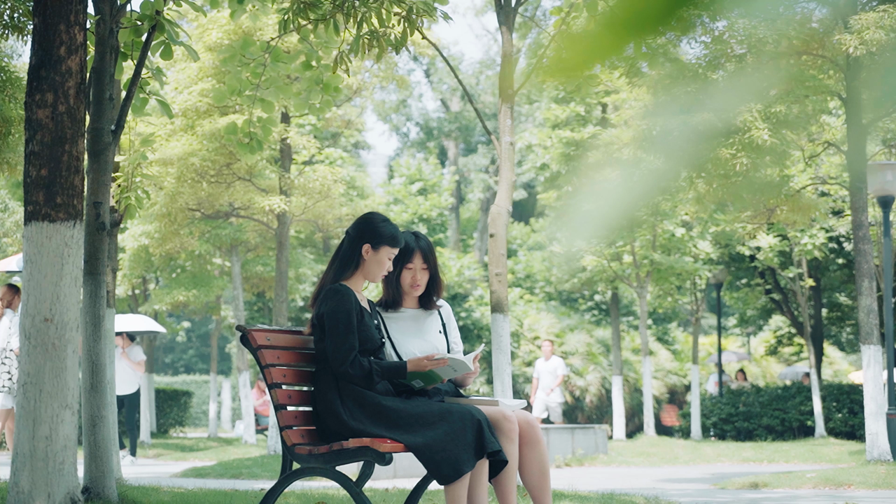 校园 女生看书空镜头