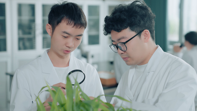 大学生实验室的植物研究