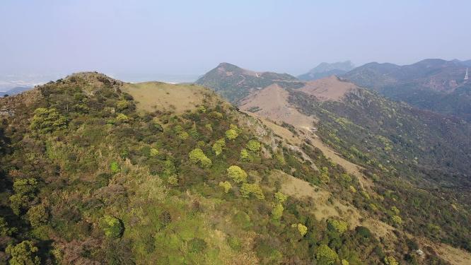 福建省福州市福清大姆山高山草甸自然风光