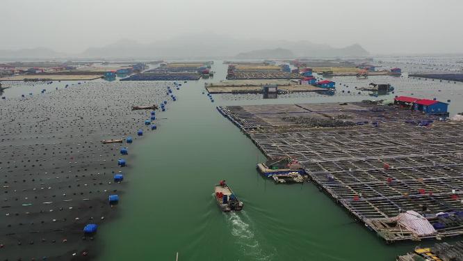 原创 福建宁德霞浦养殖业渔船航拍