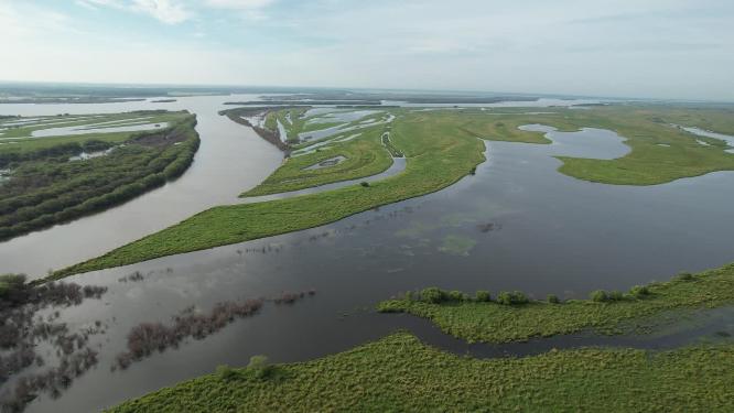 黑龙江抚远市乌苏里江湿地河流自然风光航拍