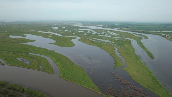 黑龙江抚远市乌苏里江湿地河流自然风光航拍