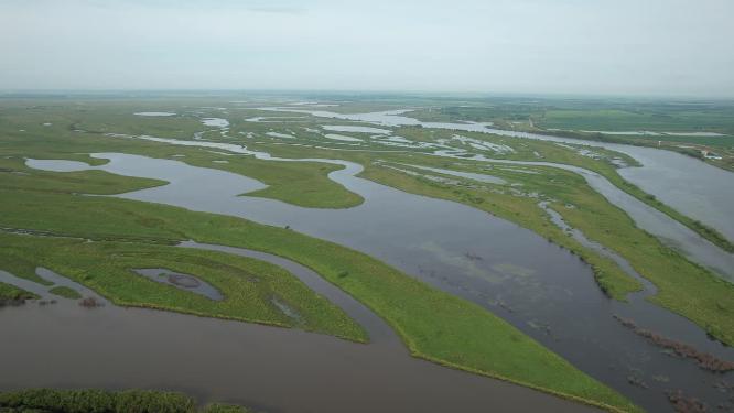 黑龙江抚远市乌苏里江湿地河流自然风光航拍