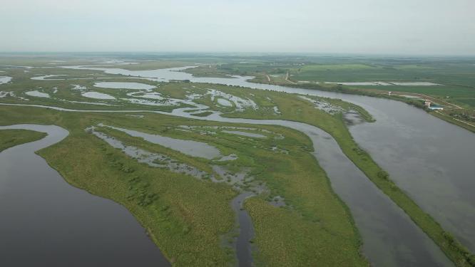 黑龙江抚远市乌苏里江湿地河流自然风光航拍