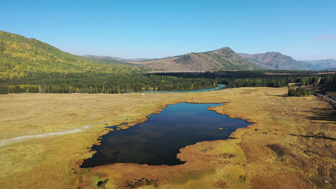 新疆喀纳斯景区鸭泽湖湿地自然风光