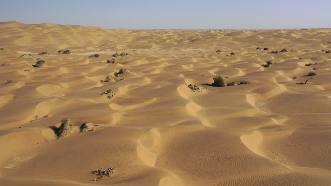 新疆塔里木盆地塔克拉玛干沙漠自然风光