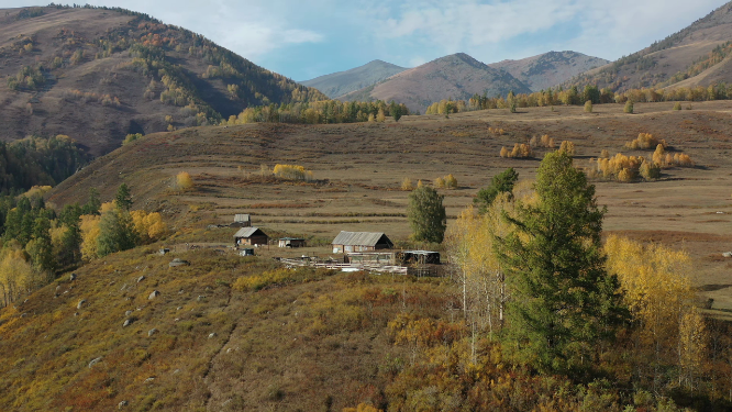 西北地区林间的小屋