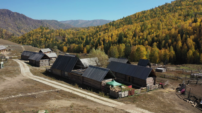 西北地区林间的小屋