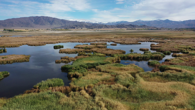 新疆阿勒泰可可苏里湖泊湿地自然风光