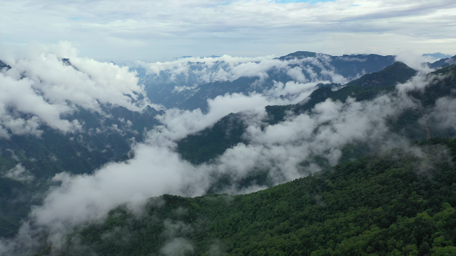 云雾笼罩的湖北武汉神农架神农顶自然风光航拍