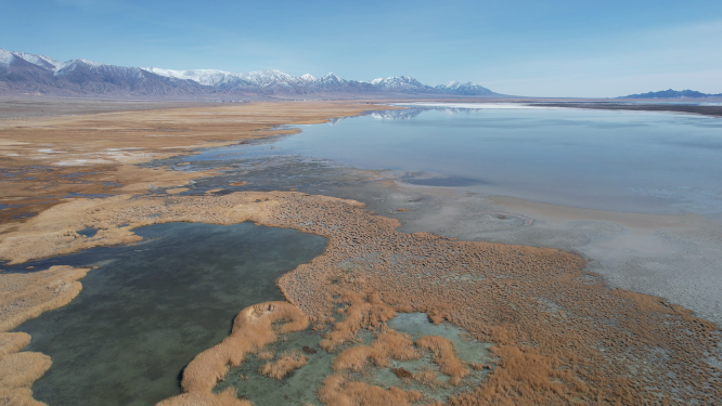 青海海西州大柴旦湖湿地湖泊自然风光