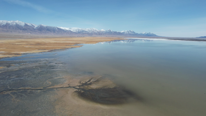 青海海西州大柴旦湖湿地湖泊自然风光