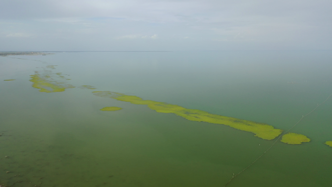 原创 新疆博湖县沙漠博斯腾湖自然风光航拍
