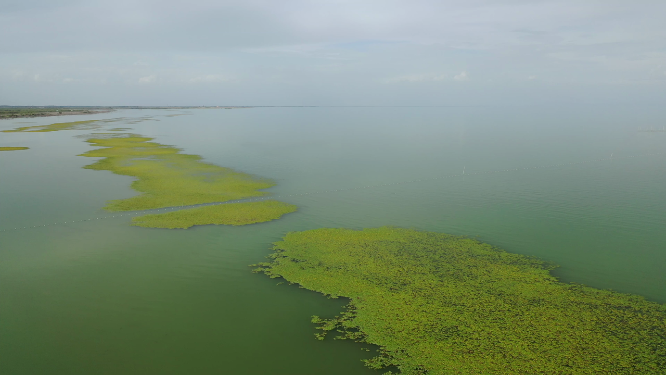原创 新疆博湖县沙漠博斯腾湖自然风光航拍