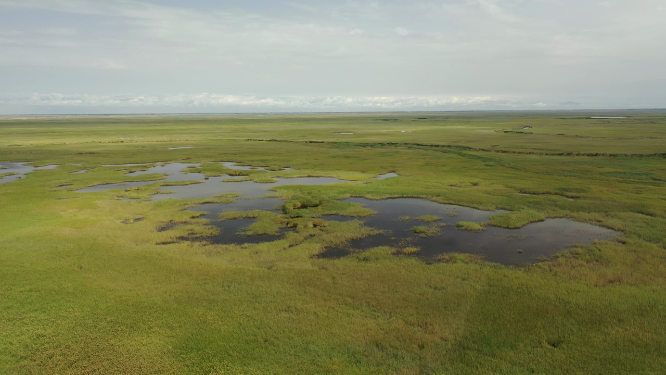 原创 新疆博斯腾湖草原湿地孔雀河自然景观