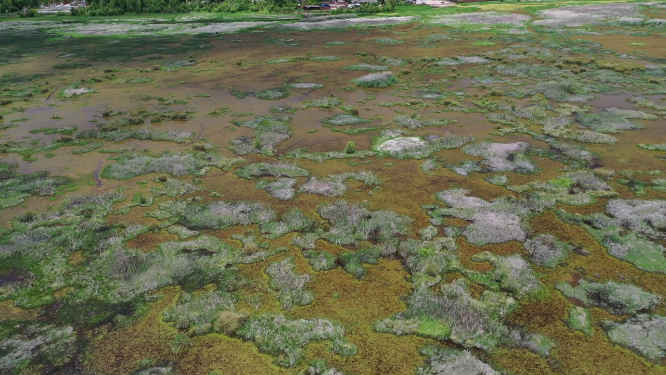 四川凉山州泸沽湖草海自然风光航拍