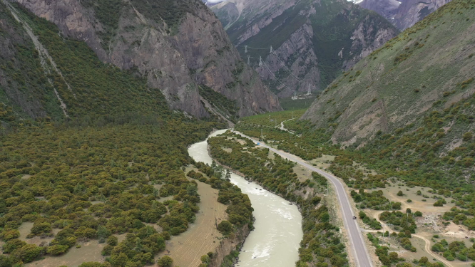西藏川藏线G318林芝帕隆藏布森林